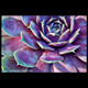 hens and chicks flower art kennebunk maine