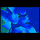 potato vine at night with water, kennebunk maine