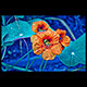 night garden shutter gallery